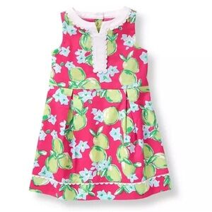Janie & Jack Flamingo Lime Shift Dress Girl’s size 4 EUC